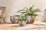 Nkuku VASES & PLANTERS Abari Tapered Planter