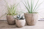 Nkuku Vases & Planters Affiti Clay Planter