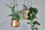 Nkuku Vases & Planters Atsu Brass Hanging Planter