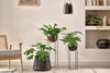 Nkuku VASES & PLANTERS Endo Reclaimed Iron Planter Stand