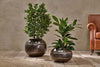 Nkuku VASES & PLANTERS Endo Reclaimed Iron Vase