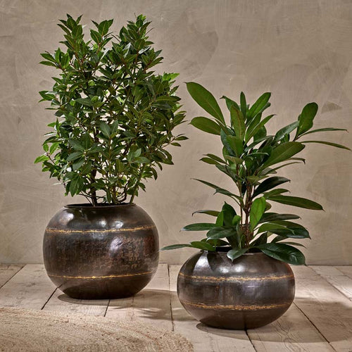 Nkuku VASES & PLANTERS Endo Reclaimed Iron Vase