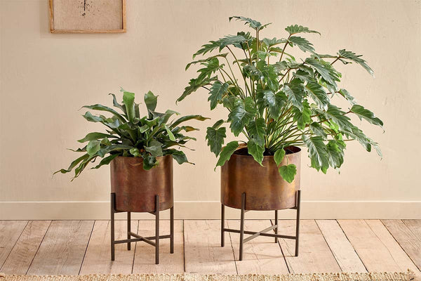 Nkuku VASES & PLANTERS Juoni Iron Planter