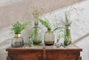 Nkuku Vases & Planters Miza Mini Glass Vase - Smoke