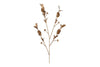 nkuku CHRISTMAS DECORATIONS San Stem Foliage - Antique Brass