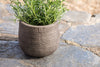 nkuku VASES & PLANTERS Zadie Etched Ceramic Planter - Grey - Small