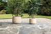 nkuku VASES & PLANTERS Zadie Etched Ceramic Planter - Neutral - Set Of 2