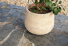 nkuku VASES & PLANTERS Zadie Etched Ceramic Planter - Neutral - Set Of 2