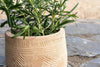 nkuku VASES & PLANTERS Zadie Etched Ceramic Planter - Neutral - Small