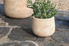 nkuku VASES & PLANTERS Zadie Etched Ceramic Planter - Neutral - Small