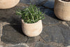 nkuku VASES & PLANTERS Zadie Etched Ceramic Planter - Neutral - Small