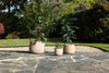 nkuku VASES & PLANTERS Zadie Etched Ceramic Planter - Neutral - Small